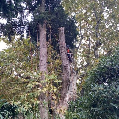 Abattage par démontage