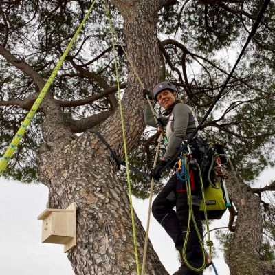 arboriste grimpeur