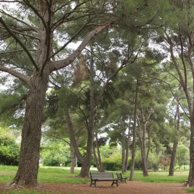 parc municipal