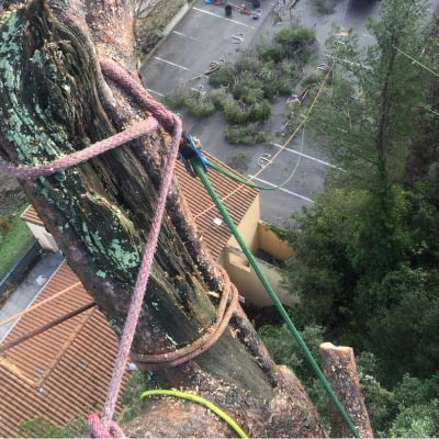 abattage par démontage