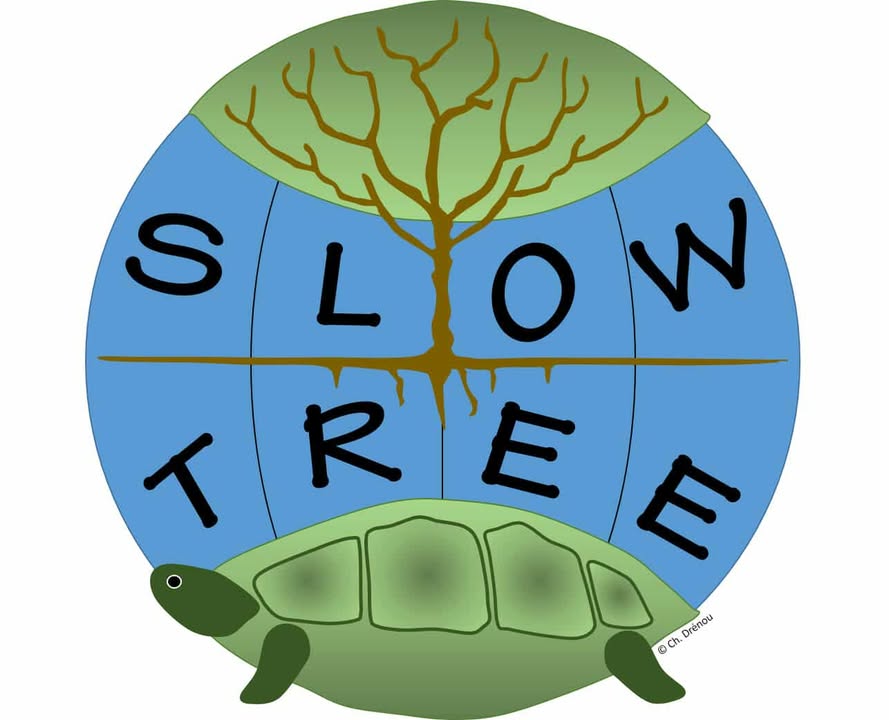 Slow Tree